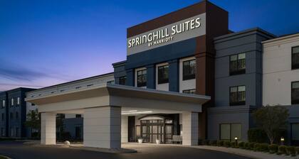 SpringHill Suites Grand Rapids Airport Southeast