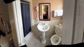 A bathroom with a pedestal sink, a toilet, a shower curtain, and a mirror with a light fixture above it.
