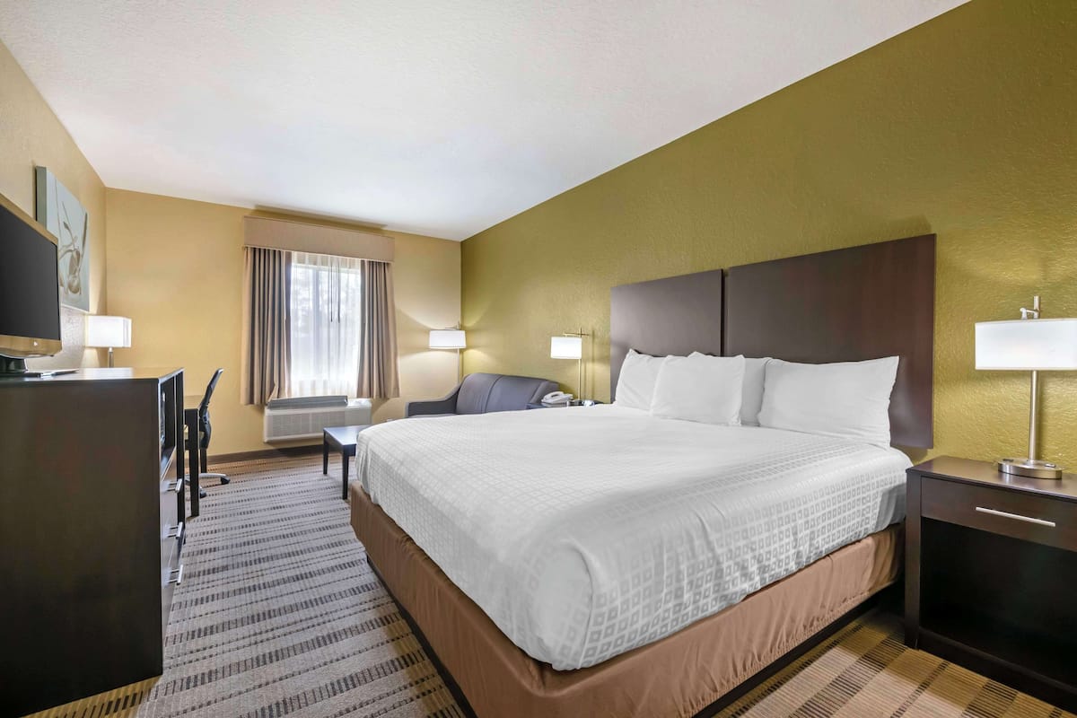 A hotel room with a large bed, a desk, a chair, and a television.