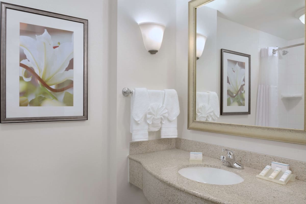 combined shower/bathtub, free toiletries, hair dryer, towels