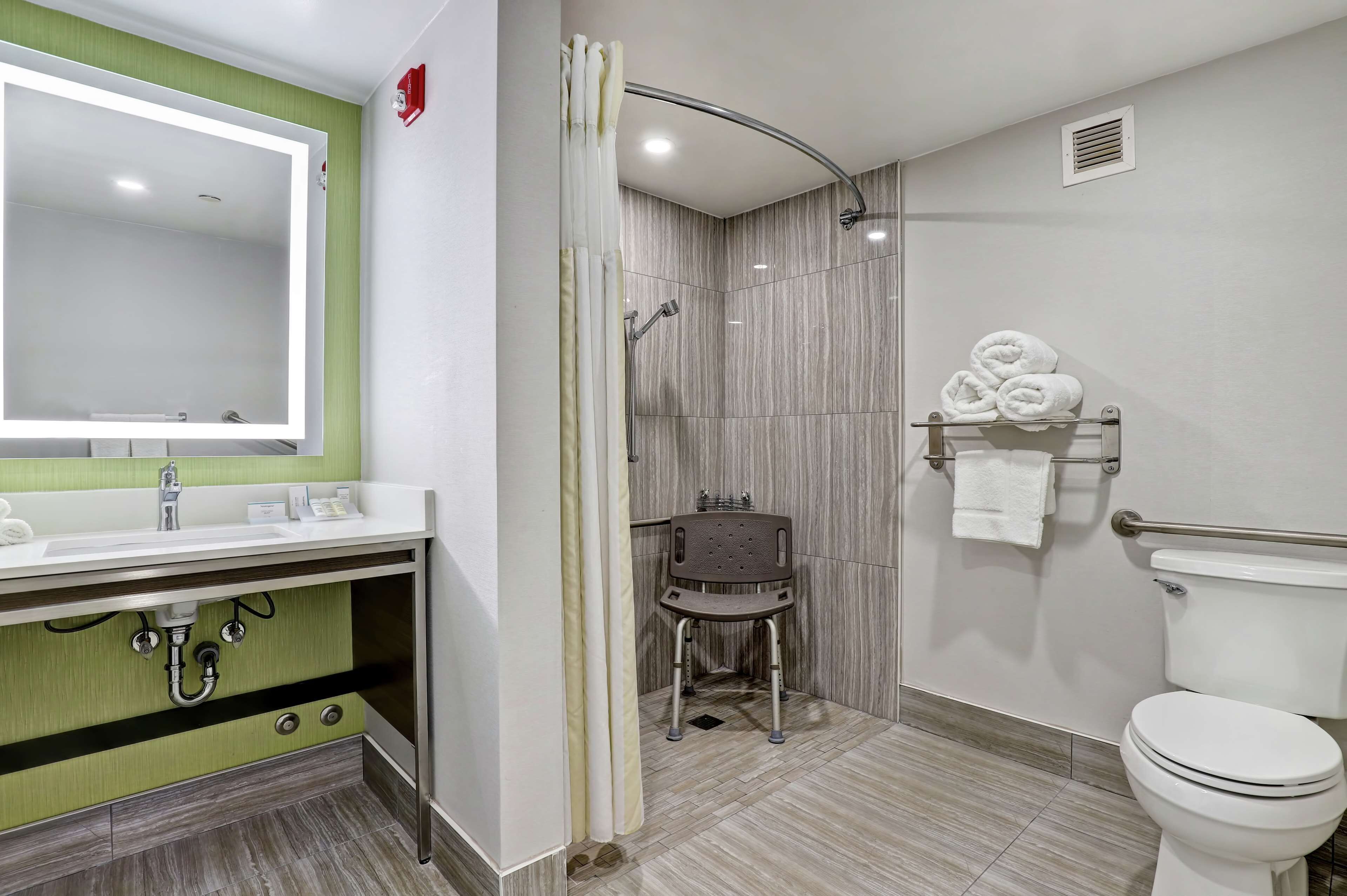 room, 1 king bed, accessible | bathroom shower