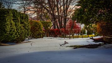 Un jardín cubierto de nieve con árboles y arbustos.