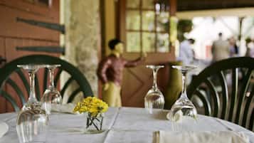 A dining table with clear glassware and a small vase of yellow flowers, set in a room with wooden chairs and a rustic ambiance.