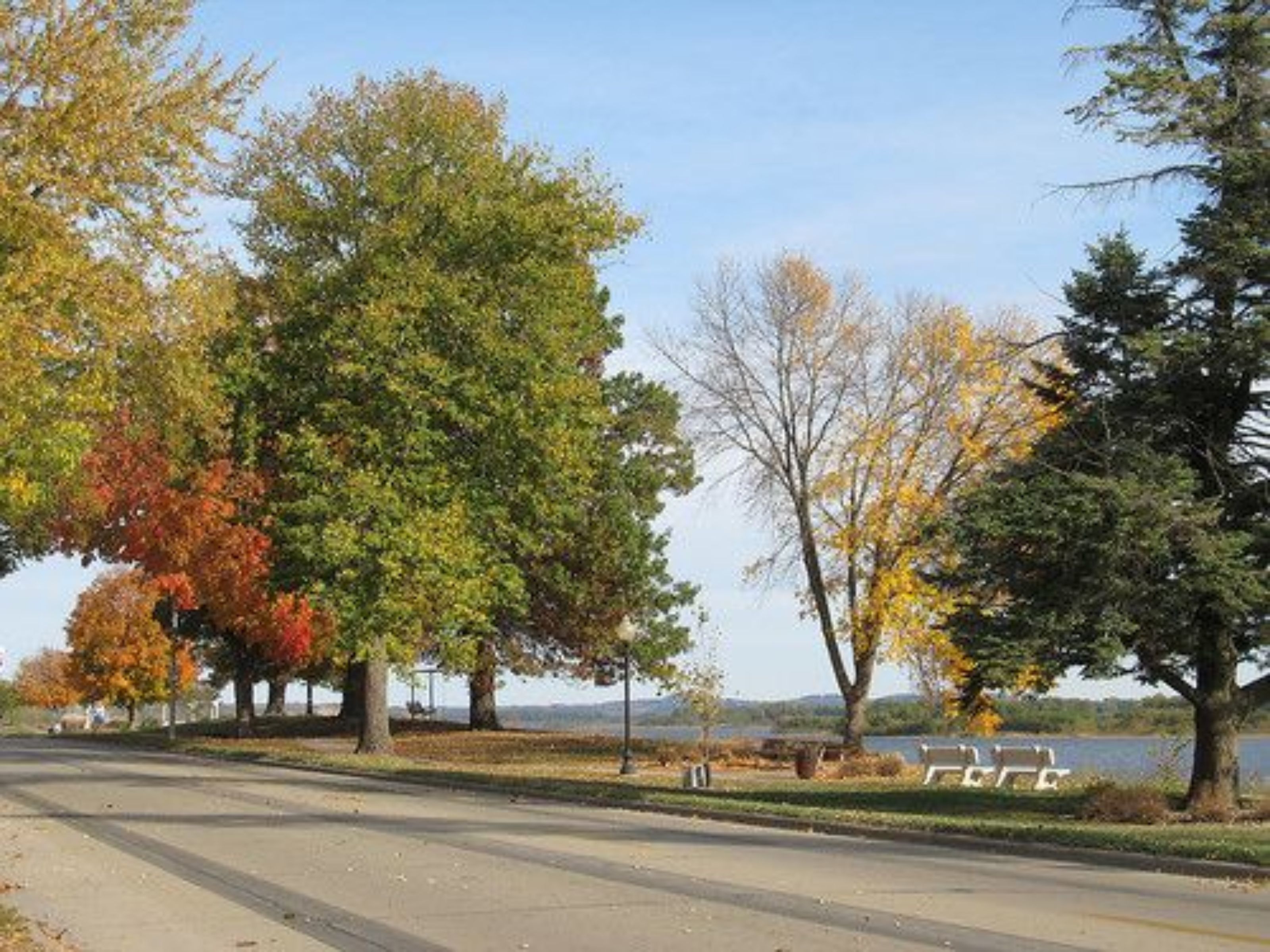A park with trees, benches, and a body of water in the background.