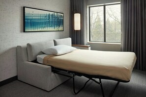 Suite, 1 King Bed with Sofa bed