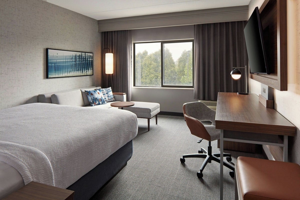 A hotel room with a large bed, a desk, a chair, a TV, and a window with a view of trees.