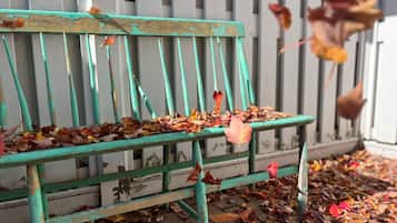 A weathered bench with peeling paint and scattered autumn leaves.
