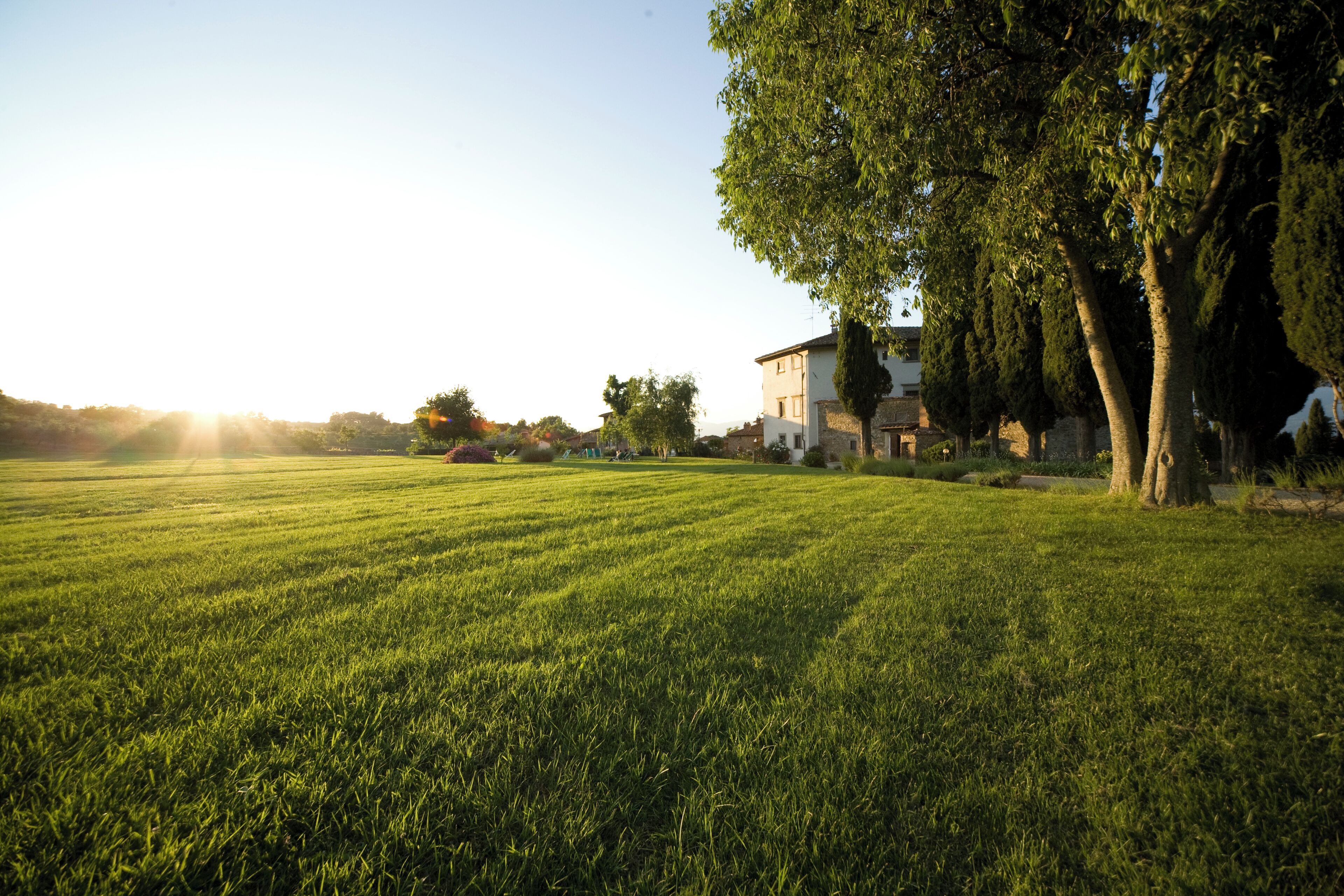 A grassy field with a building and trees in the background.