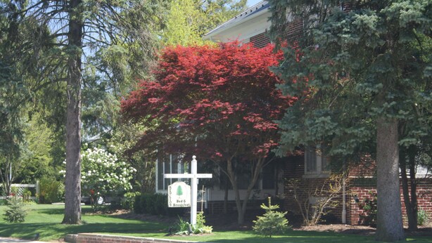A residential house with a sign indicating a Bed & Breakfast.