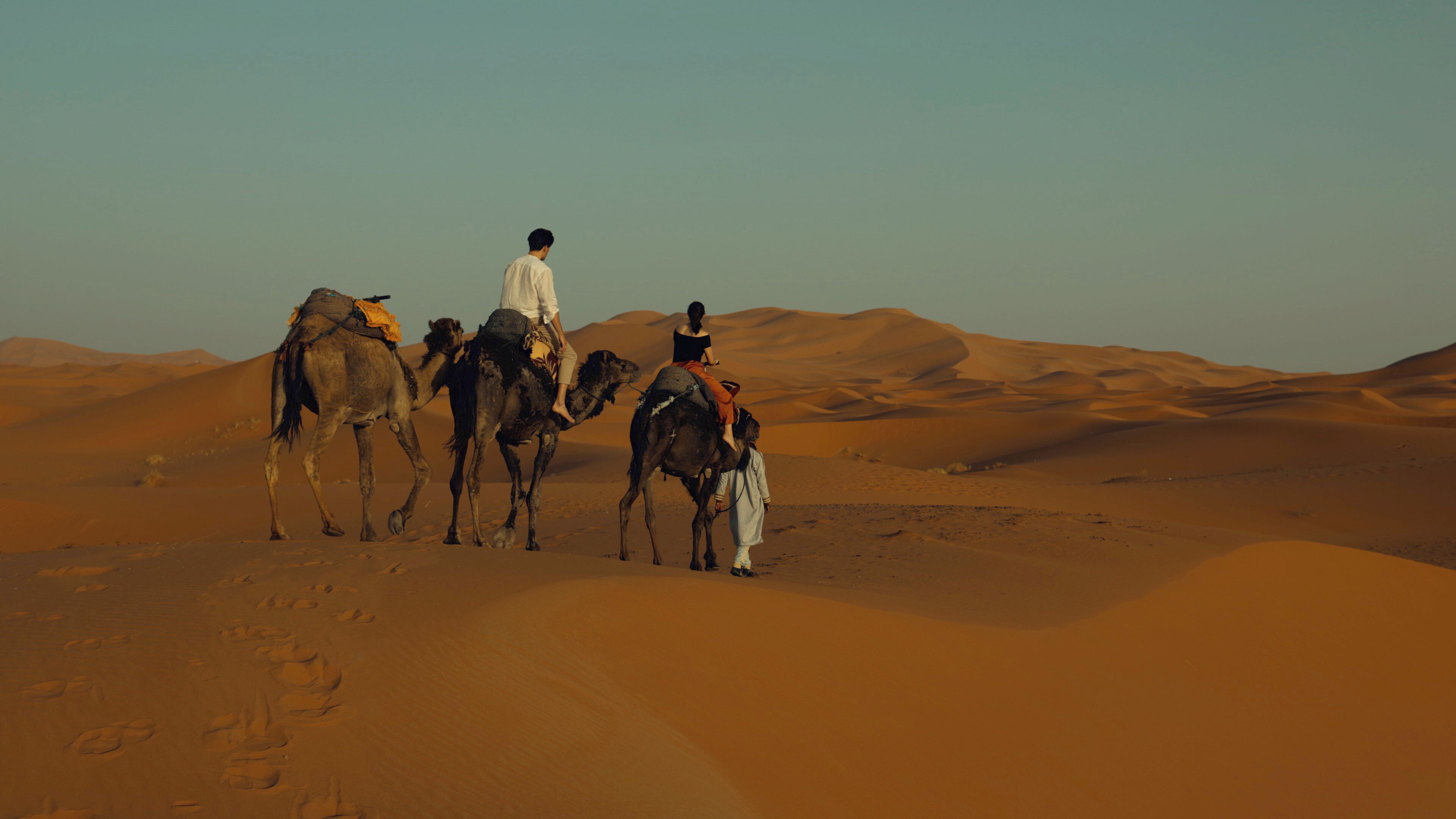 Paisaje desértico con dunas de arena y camellos.
