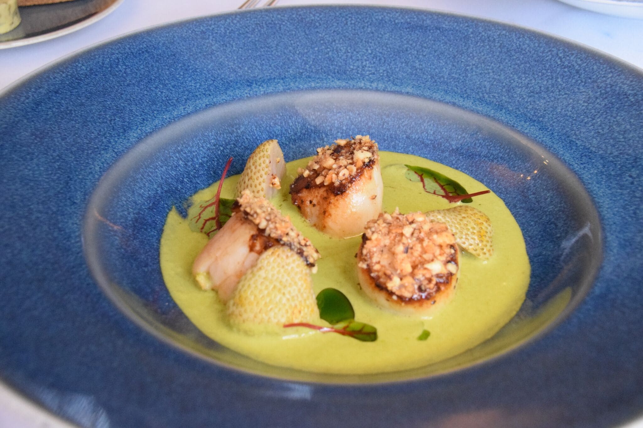 A blue plate with a green sauce and seared scallops, garnished with microgreens and a red chili.