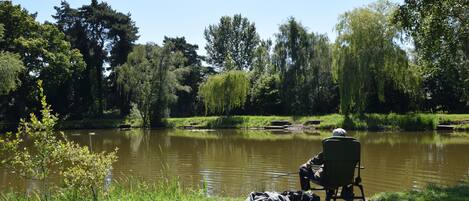 Una persona sentada en una silla junto a un lago tranquilo rodeado de abundante vegetación.