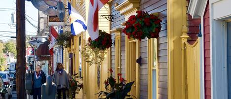 Calle con edificios amarillos, banderas y macetas colgantes de flores.