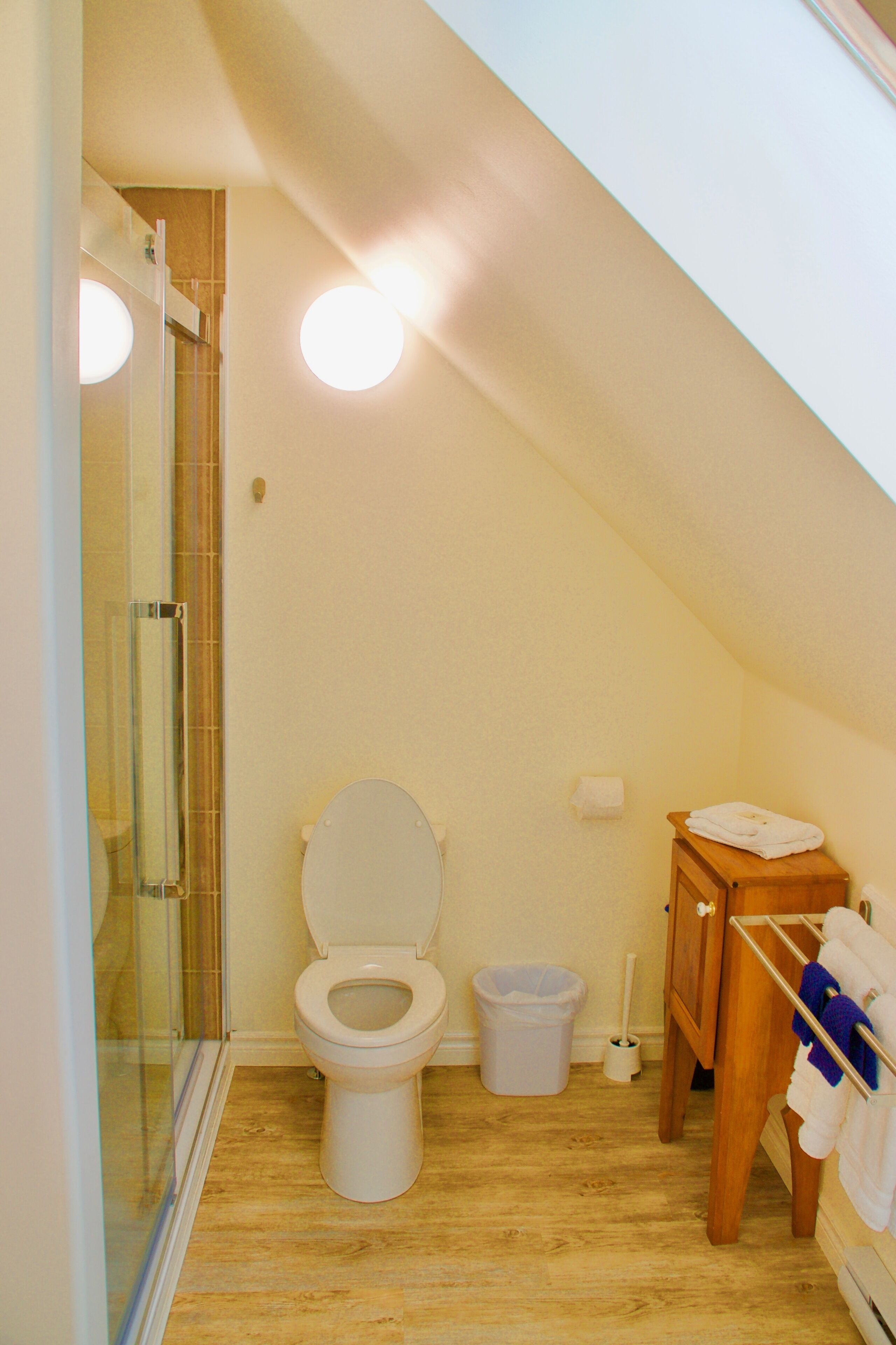 A small, compact bathroom with a toilet, a glass shower enclosure, a wooden cabinet, and a towel rack.