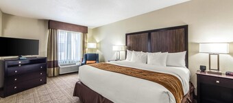 Comfort Inn Dallas Park Central