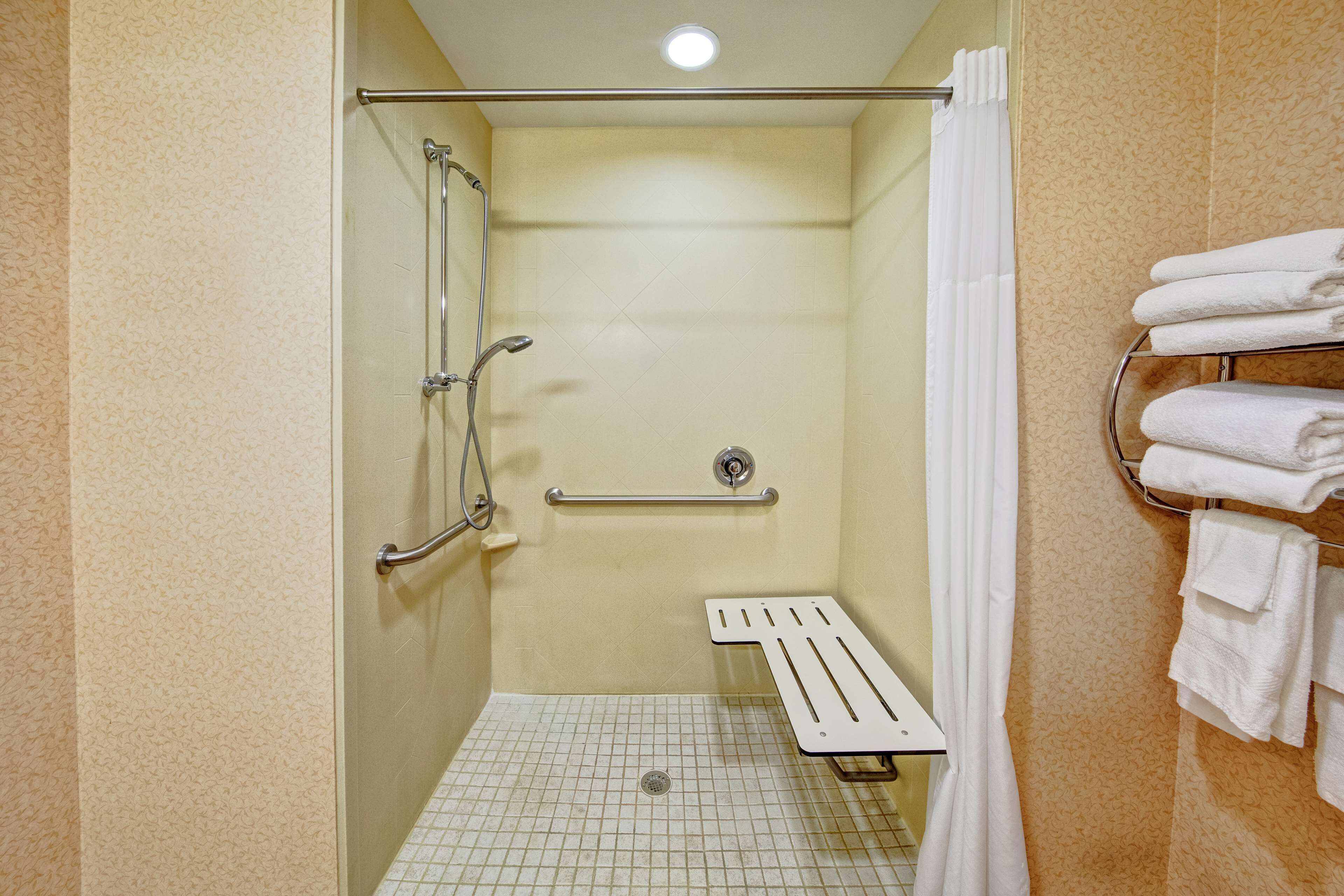room, 1 king bed, accessible (roll-in shower) | bathroom shower