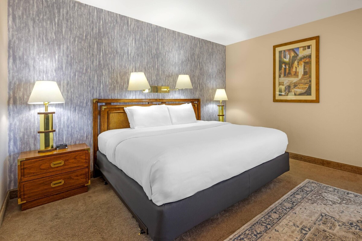 Suite, 1 King Bed, Non Smoking | Iron/ironing board, rollaway beds (surcharge), WiFi (free), alarm clocks