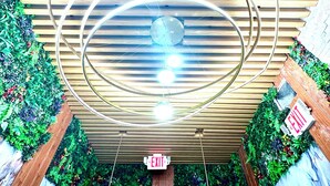 A ceiling with circular light fixtures and an exit sign.