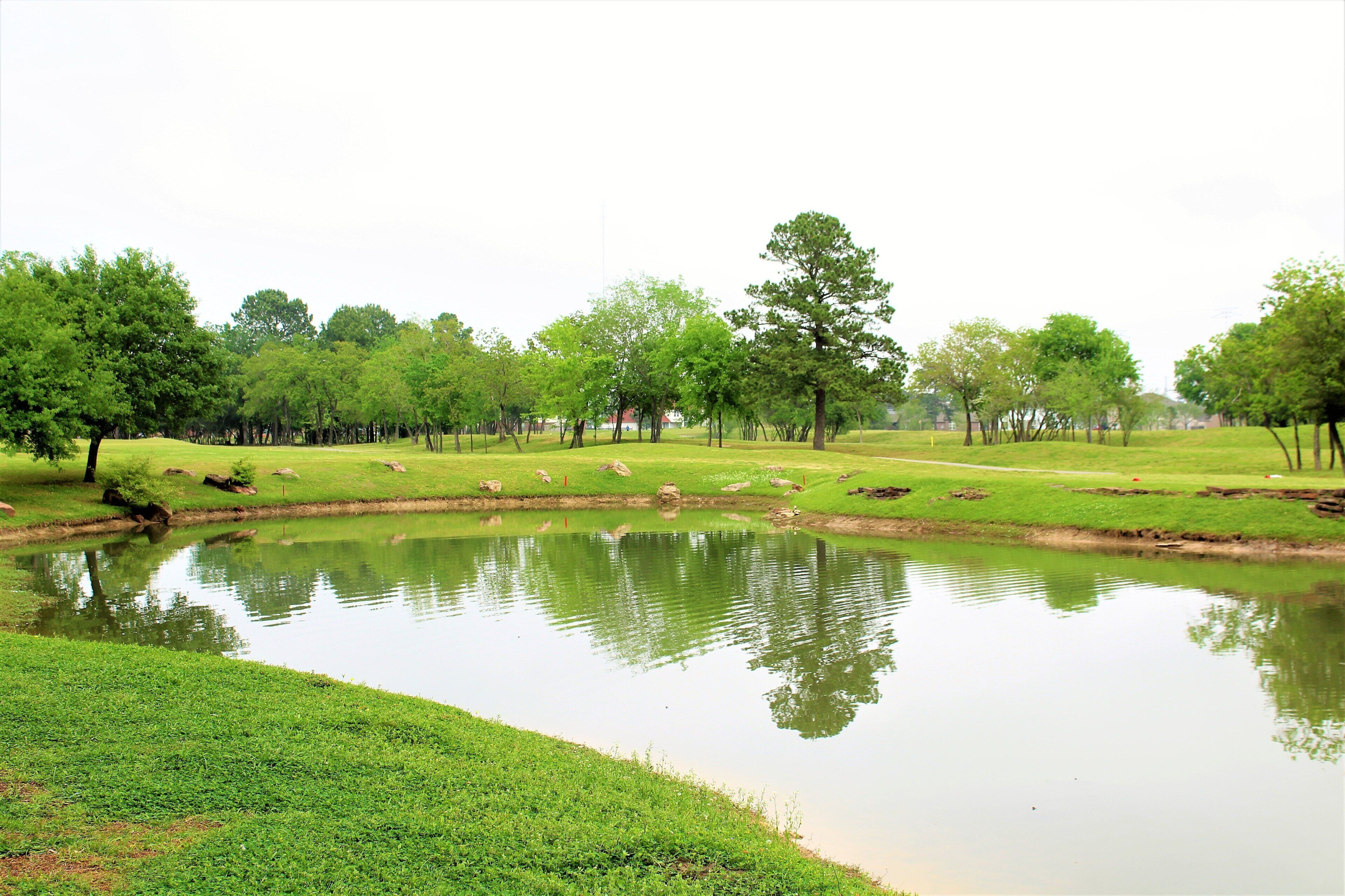 Photo - Staybridge Suites Houston Willowbrook by IHG