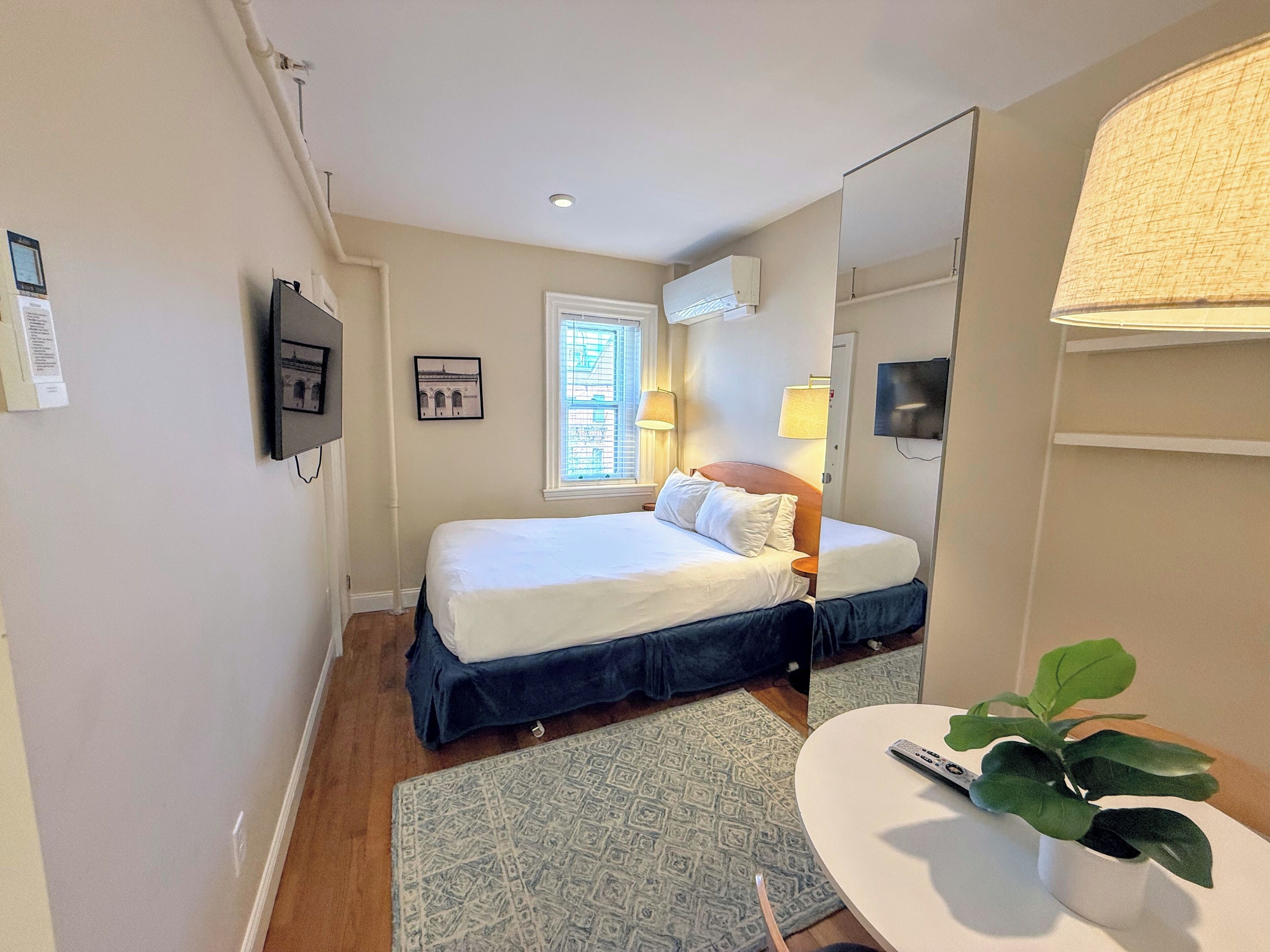 Habitación de hotel con cama, mesita de noche, lámpara, televisor, ventana y planta.