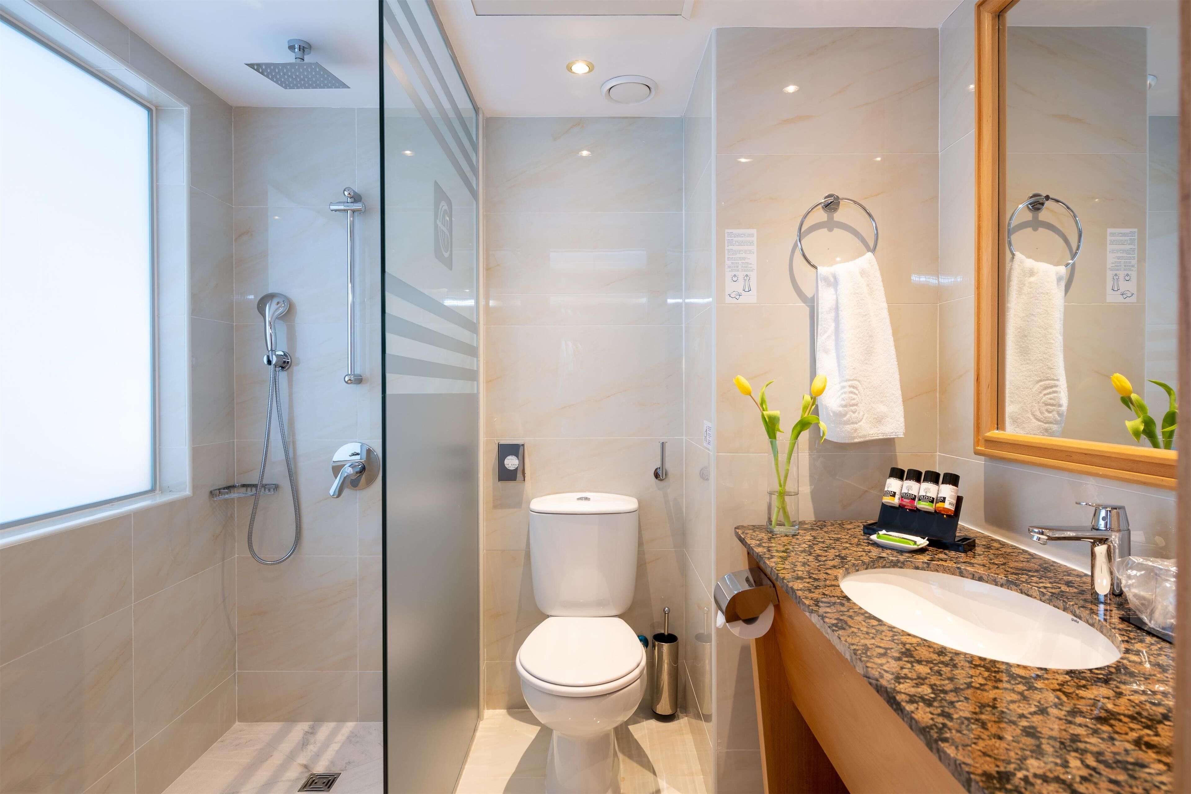 shower, rainfall showerhead, free toiletries, hair dryer