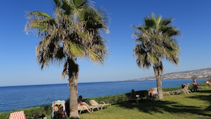 Un paisaje de playa con palmeras, sillas de descanso y vista al mar.