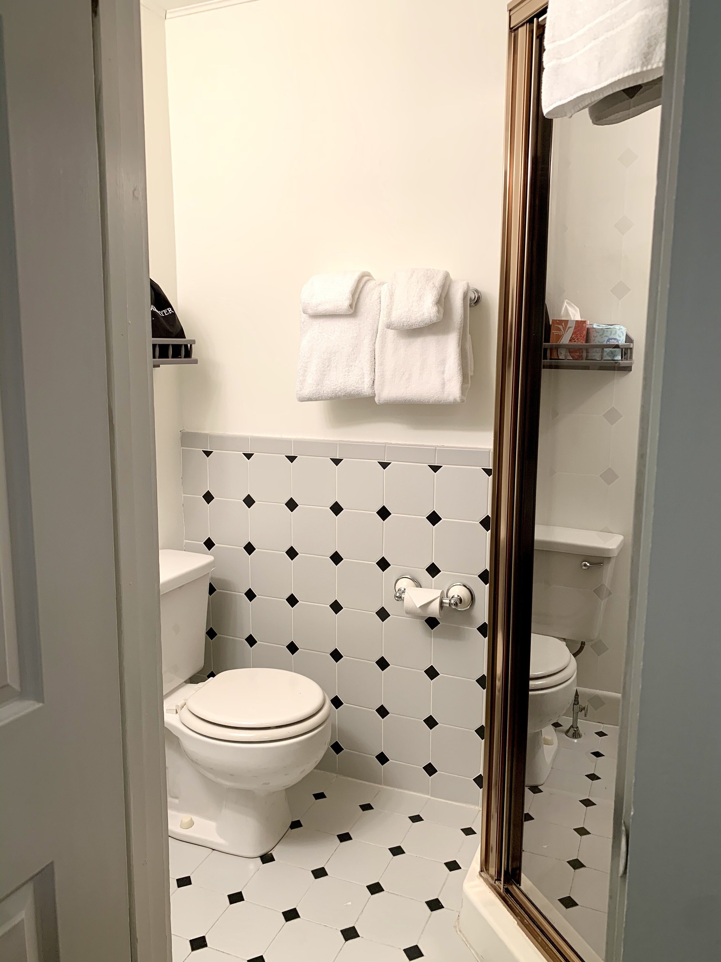 A bathroom with a toilet, a shower, and a towel rack.