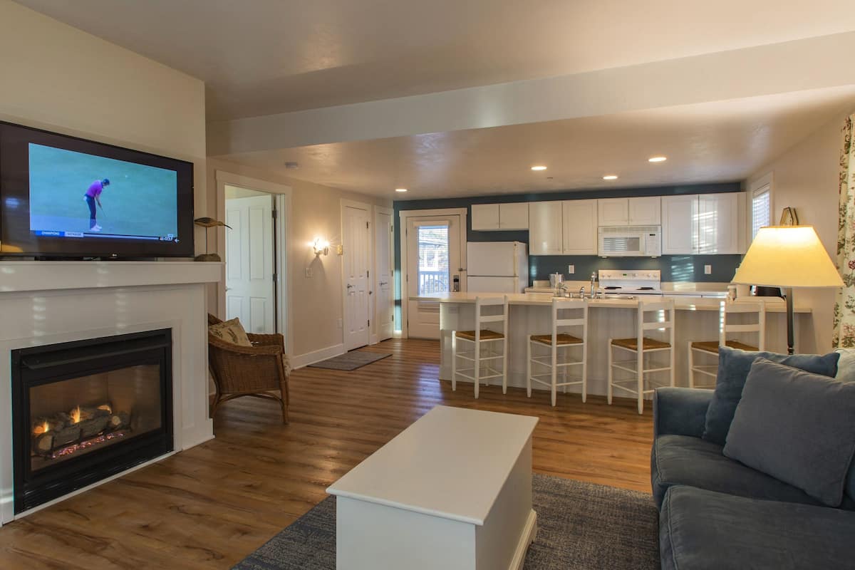 premium suite, 1 king bed, fireplace | living area | 42-inch flat-screen tv with cable channels, tv