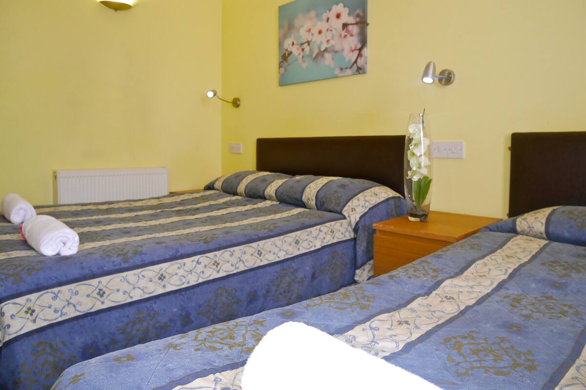 Iron/ironing board (on request), WiFi (free)