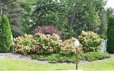 Fellows Creek Lodge