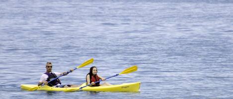Two people kayaking on a calm body of water.