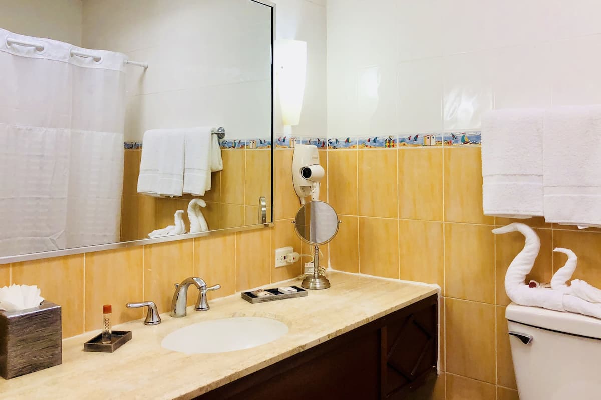deluxe double room | bathroom | shower, free toiletries, hair dryer, towels