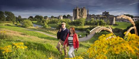 A castle with a moat and a bridge in the background.