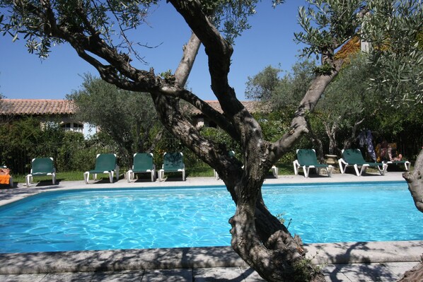Outdoor pool, pool loungers