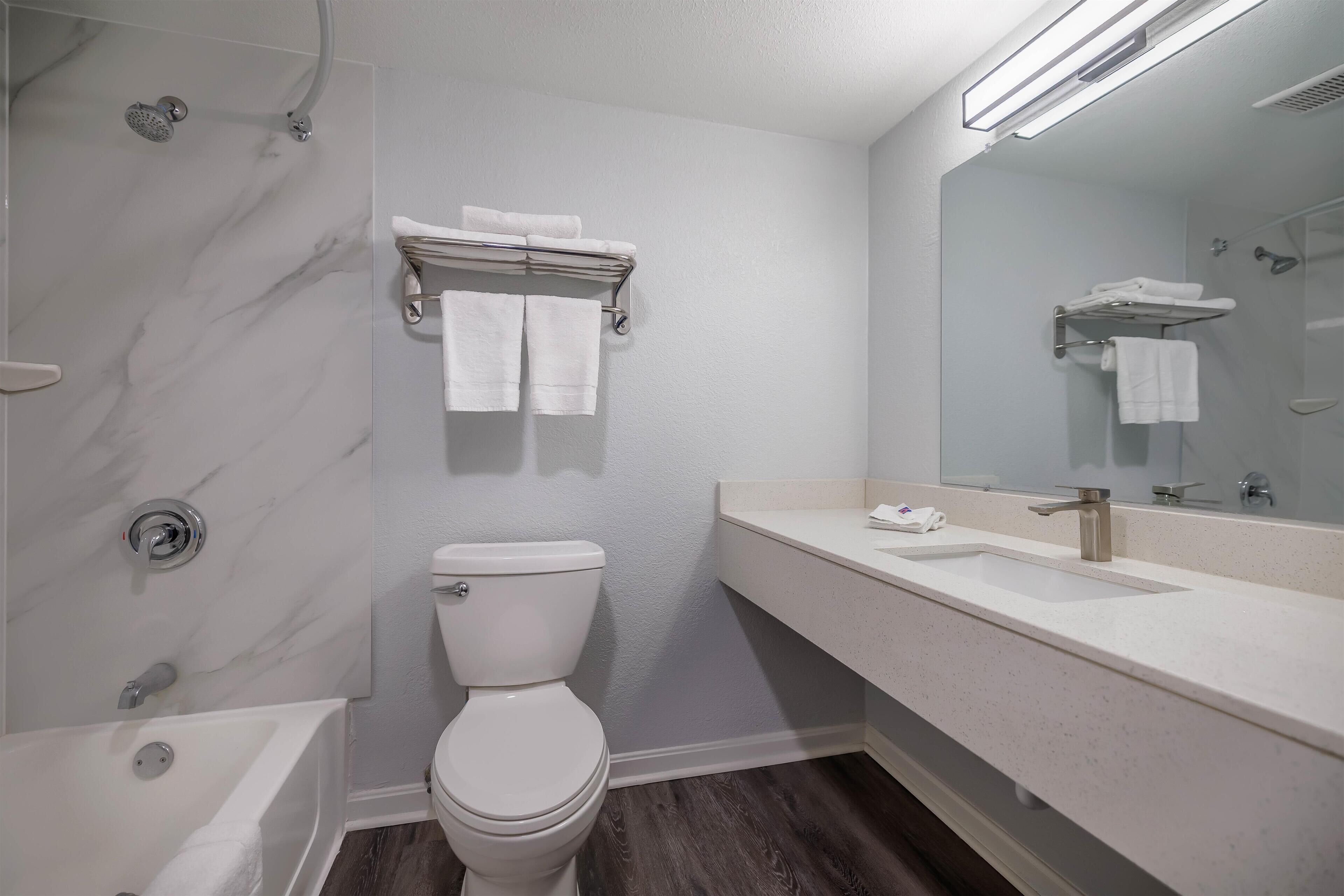 Un baño moderno con bañera, inodoro y un espejo grande.