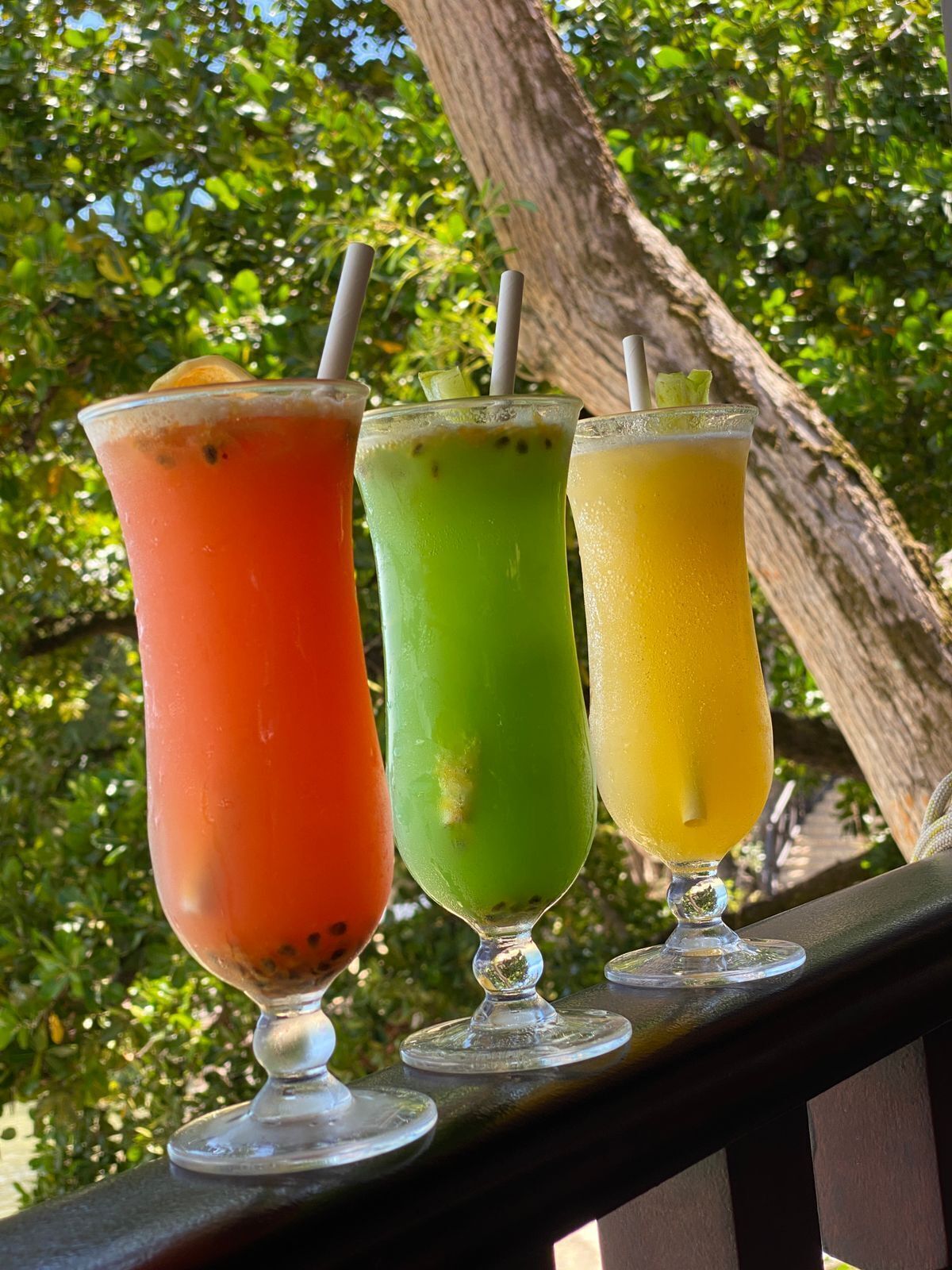 Foto - Cerf Island Resort