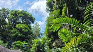 雙人療程室、美體療程、芳療、熱石按摩、深層組織按摩、產前按摩
