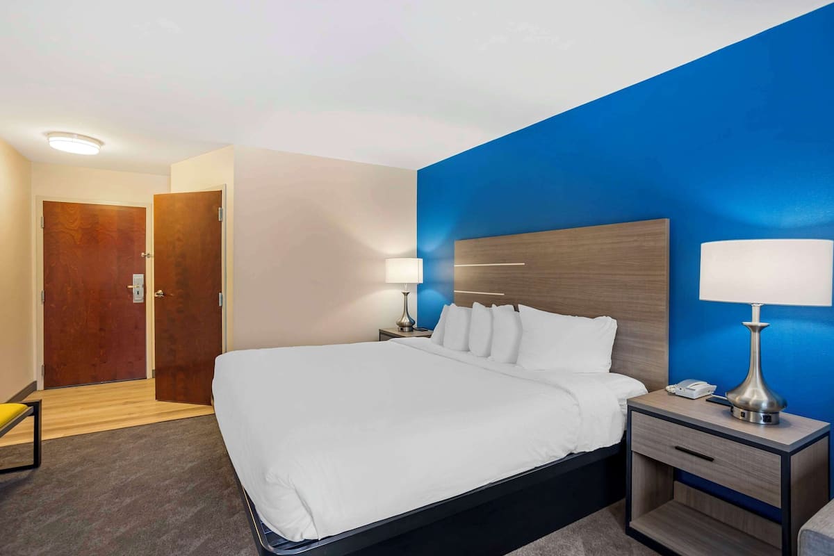 Suite, 1 King Bed, Non Smoking | Premium bedding, in-room safe, desk, laptop workspace