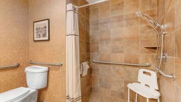 A bathroom with a toilet, shower, and grab bars.