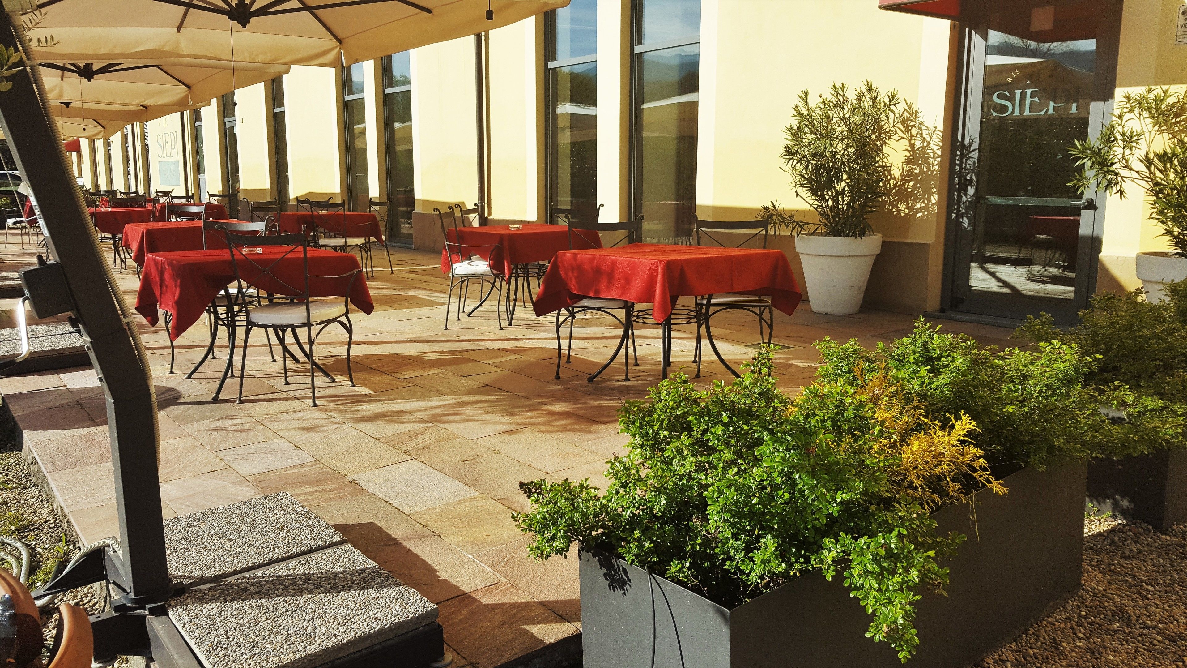An outdoor seating area with tables covered by red tablecloths, potted plants, and a stone floor.