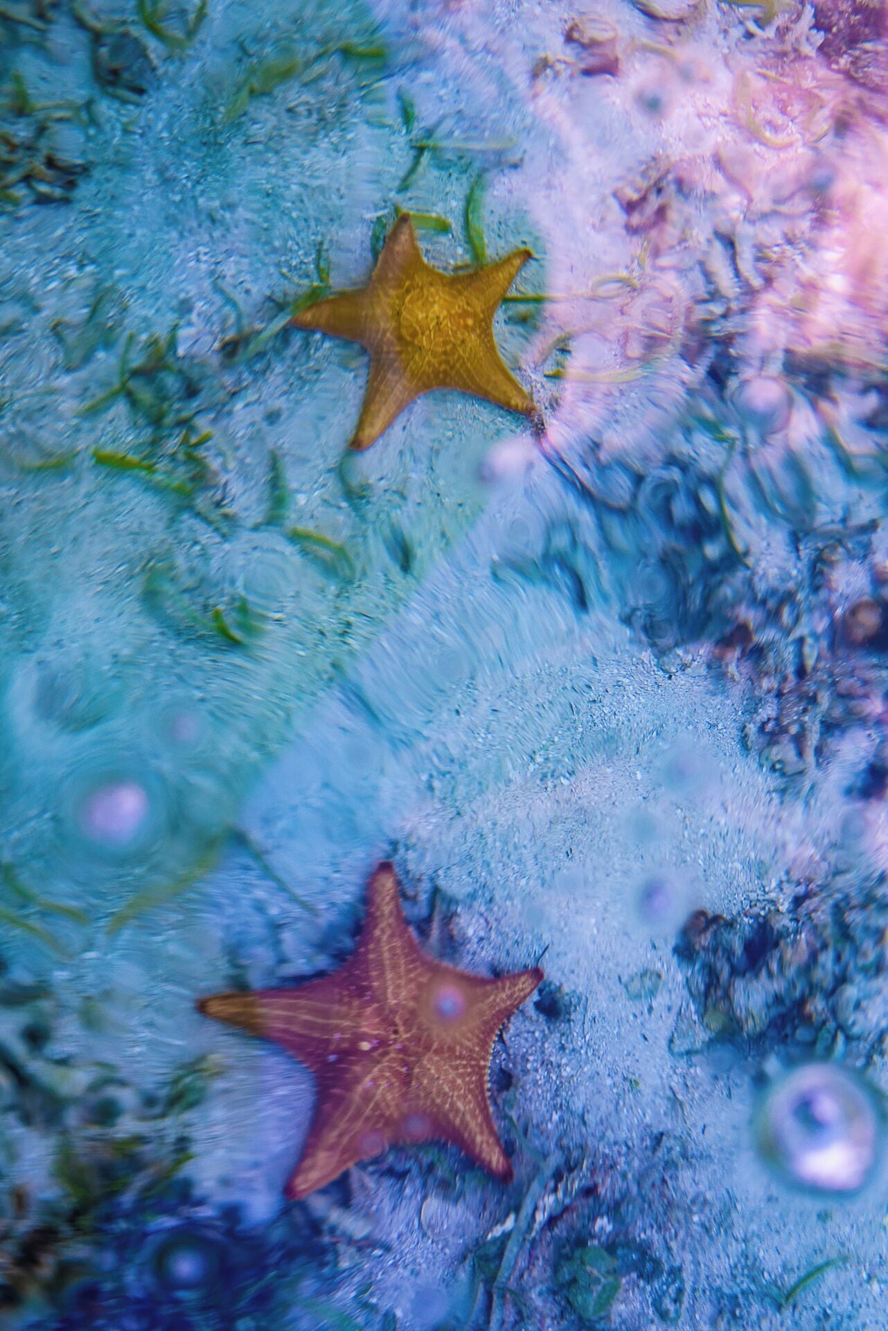 standard room | premium bedding, in-room safe, desk, iron/ironing board