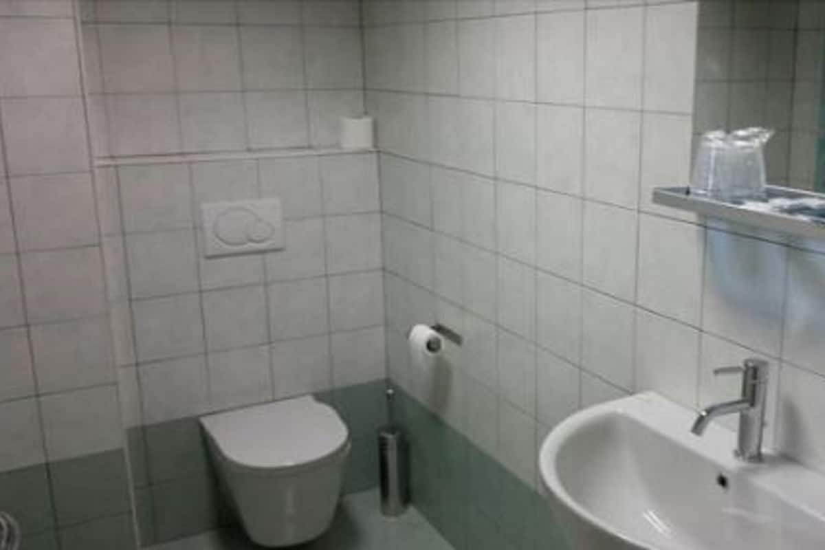 shower, free toiletries, hair dryer, bidet