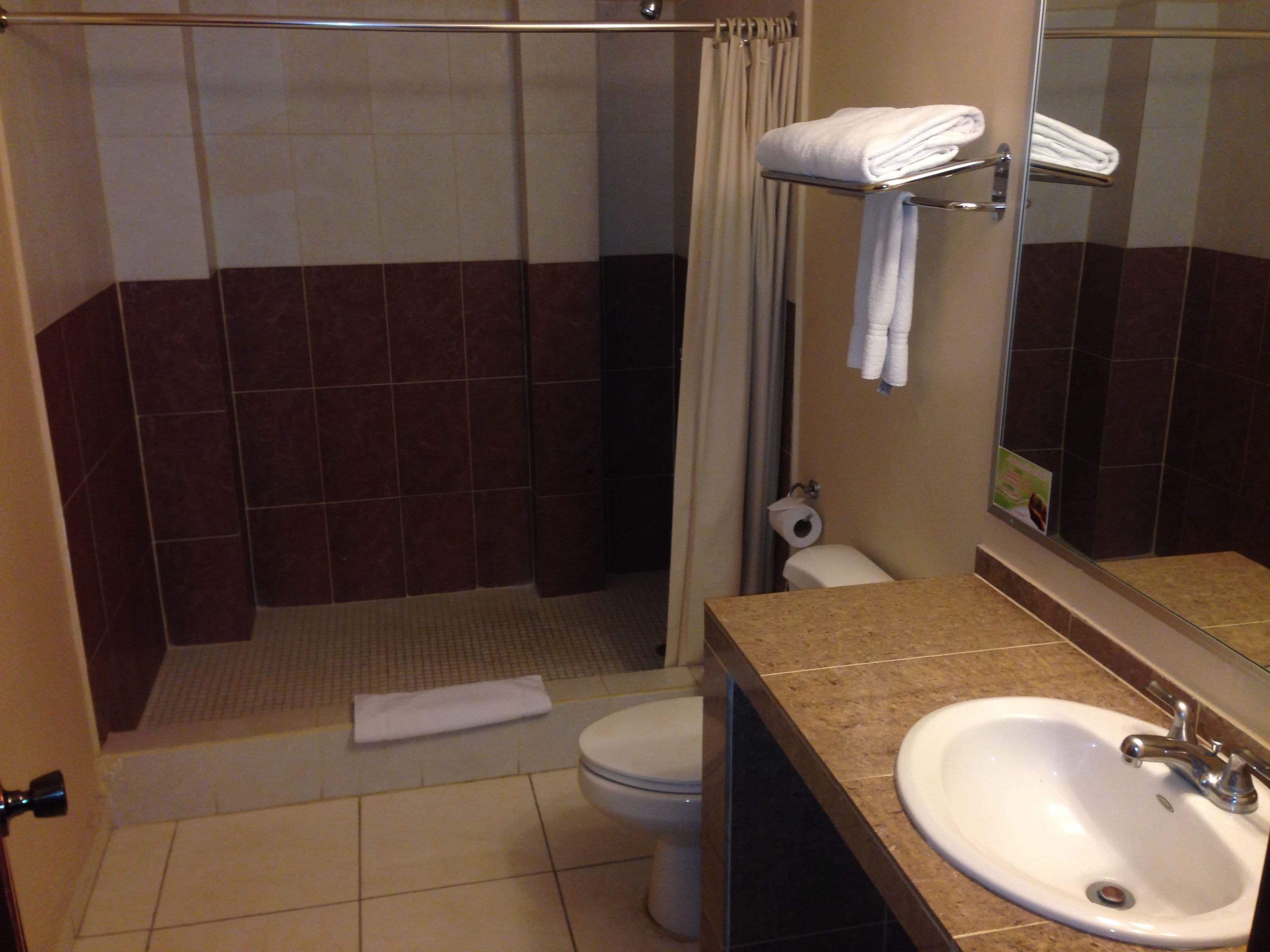 shower, free toiletries, hair dryer, towels