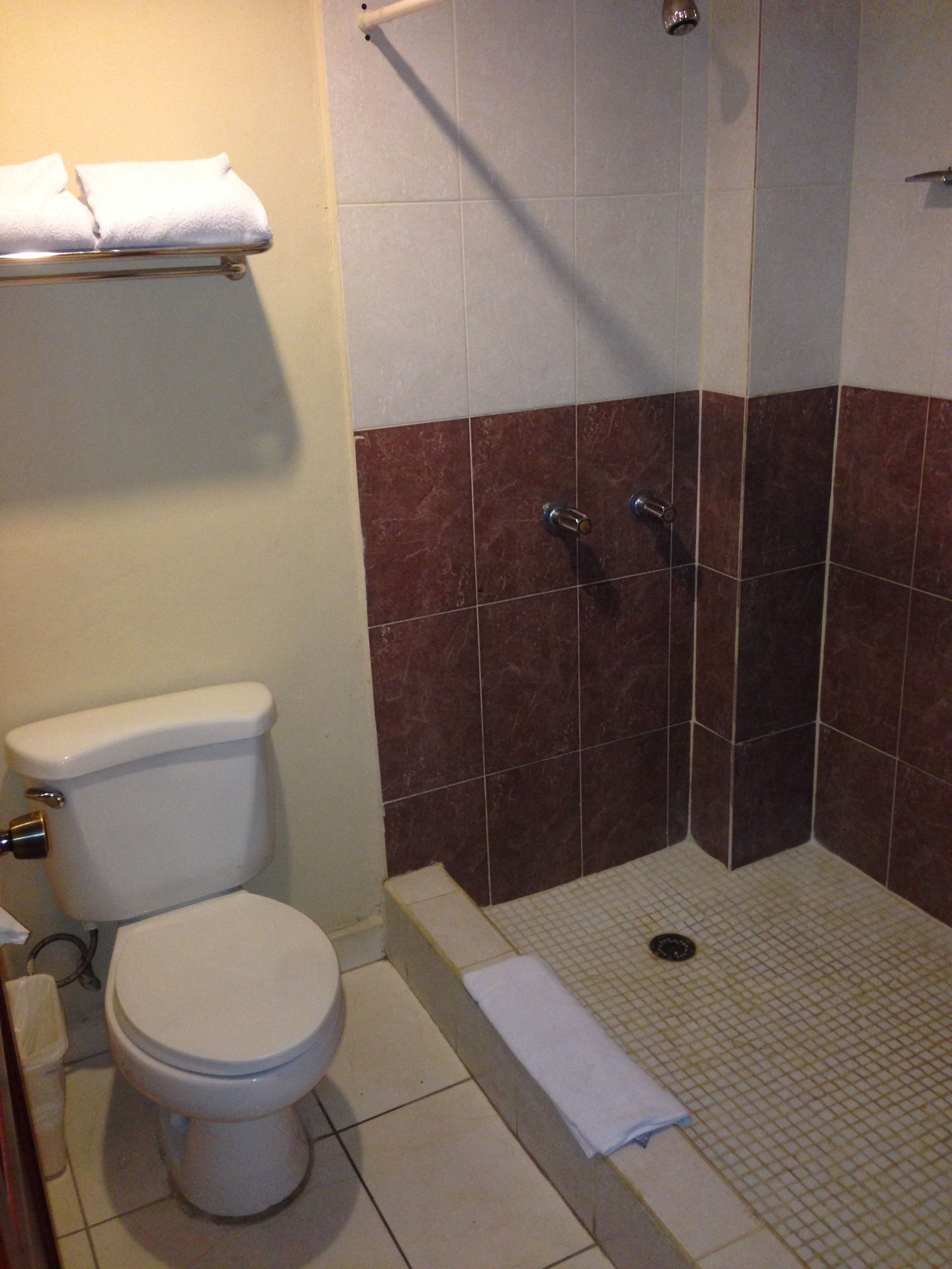 A bathroom with a toilet, a shower stall, and a towel rack.