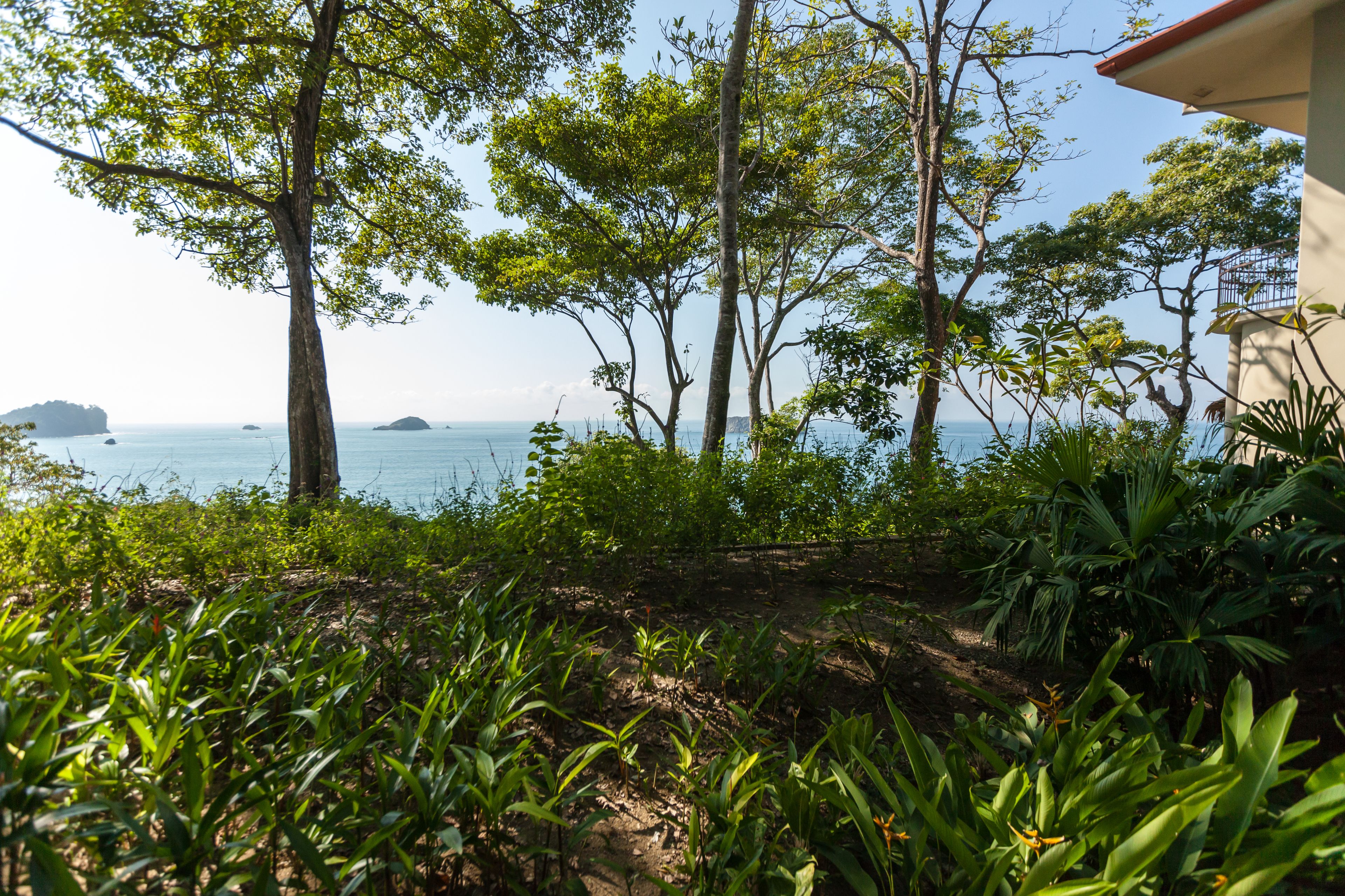 ocean breeze superior room | balcony view