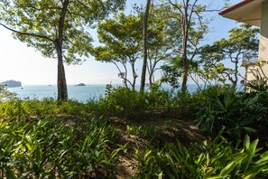 A lush garden with tall trees and a view of the sea. - Arenas Del Mar Beachfront & Rainforest Member of the Cayuga Collection (Quepos)