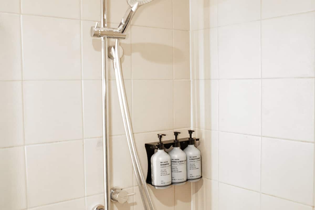 shower, free toiletries, hair dryer, towels