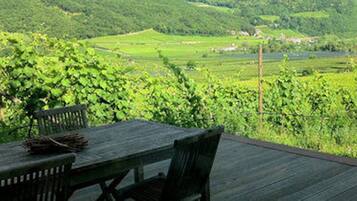 Une terrasse en bois avec une table et des chaises donnant sur un vignoble.