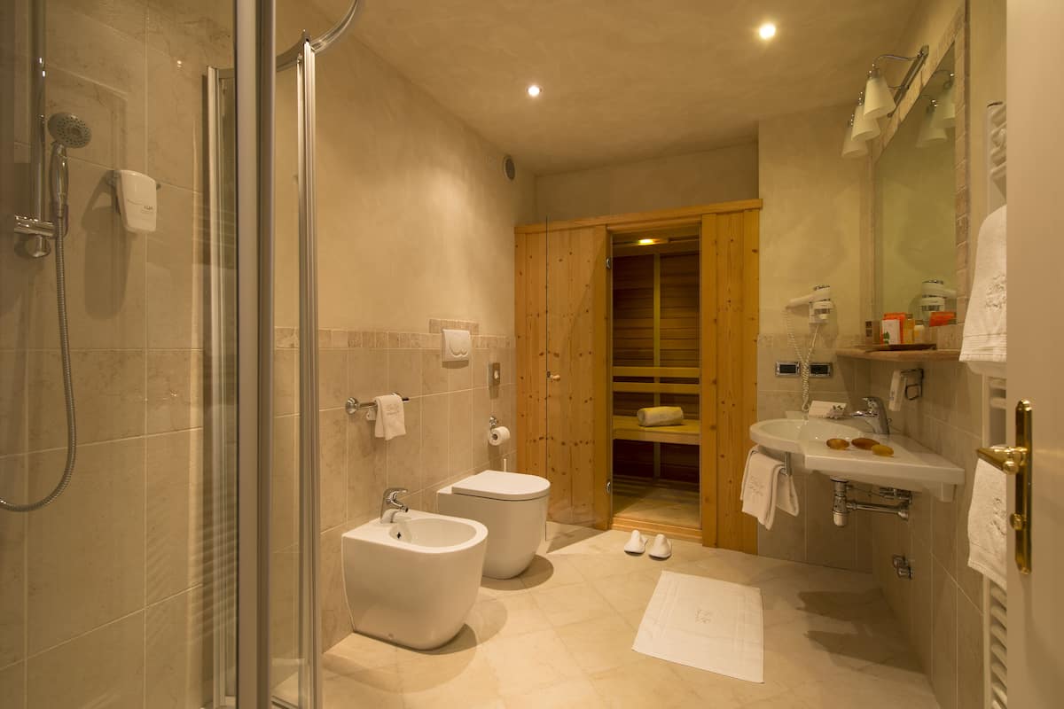 free toiletries, hair dryer, bidet, towels