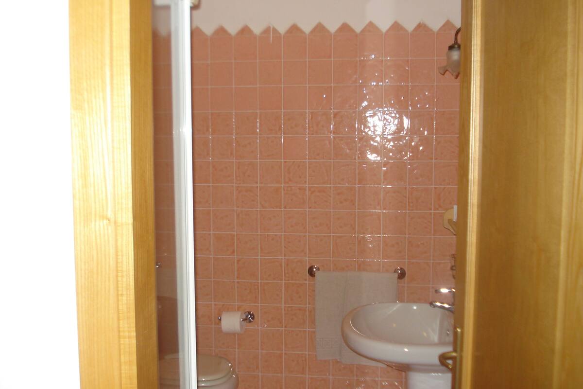 standard double room | bathroom | shower, free toiletries, hair dryer, bidet
